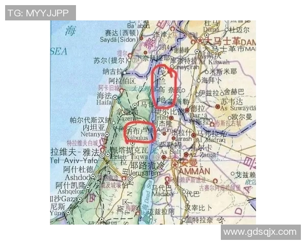 伊朗与叙利亚比赛是否会出现放水现象的深度分析与探讨