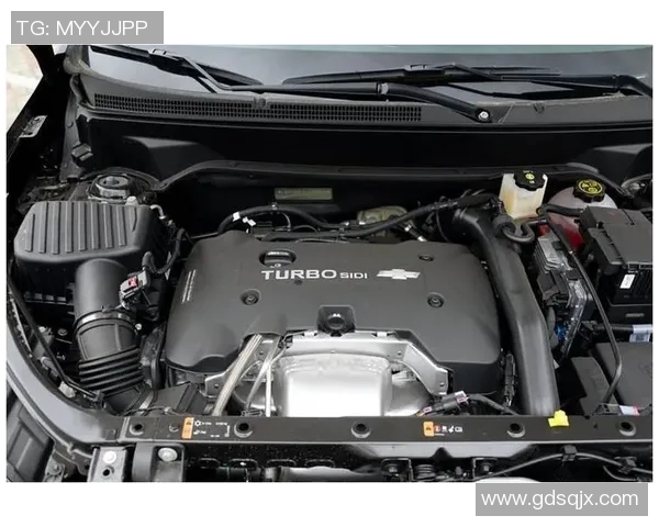 南墨尔本与布琳狮子激战正酣谁能在这场对决中笑到最后 南墨尔本与布琳狮子激战正酣谁能在这场对决中笑到最后