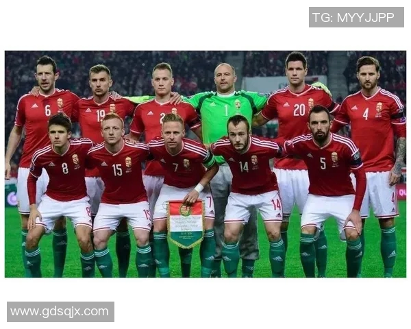 丹麦与威尔士足球赛前瞻分析及胜负预测全面解读 丹麦与威尔士足球赛前瞻分析及胜负预测全面解读