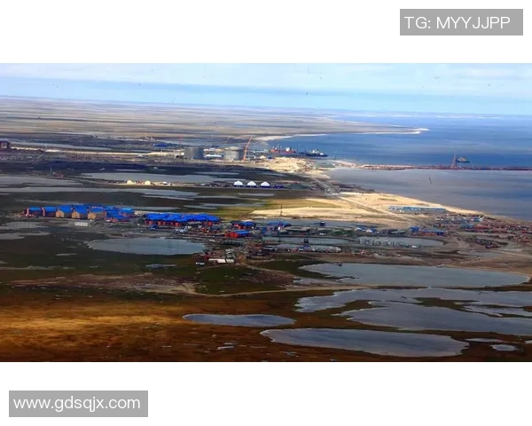 亚马尔地区的资源开发与国际合作新机遇分析 亚马尔地区的资源开发与国际合作新机遇分析